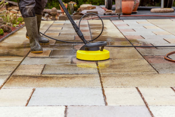 Best Rust Removal  in Lake Catherine, IL